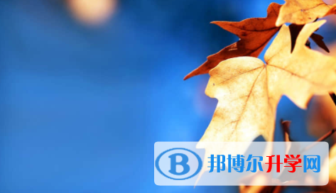 內江2022年中考網絡應用服務平臺登錄