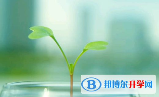內江2022年中考調劑志愿是什么意思