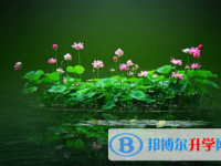 內江2022年中考志愿怎么錄取