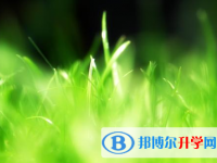 樂山2022年各個學(xué)校中考錄取線