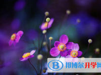樂山2022年中考報考人數(shù)