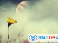 樂山2022年中考報志愿時間