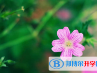 樂山2022年中考成績什么時候公布