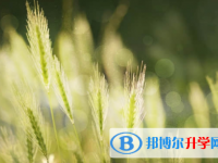 樂山2022年中考公布時間
