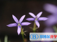 樂山2022年中考錄取報名網