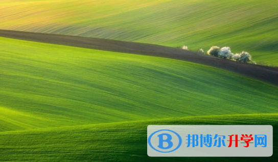 樂山2022年中考沒考上可以復(fù)讀嗎