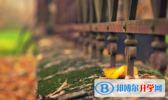 樂山2022年中考人數