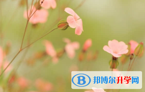 樂山2022年中考升學錄取比例