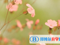 樂山2022年中考升學錄取比例