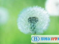 樂山2022年中考時間表