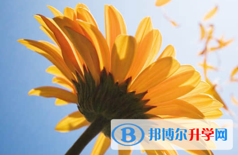 樂山2022年中考填志愿的網站