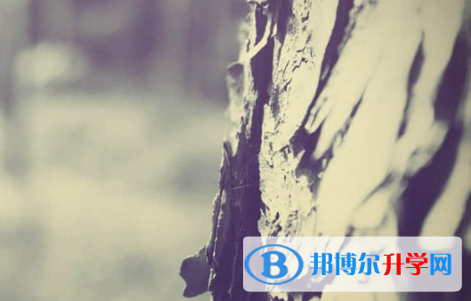 樂山2022年中考填志愿統招和調劑
