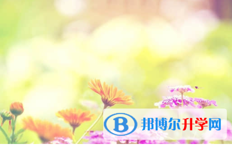 樂山2022年中考網絡服務應用平臺