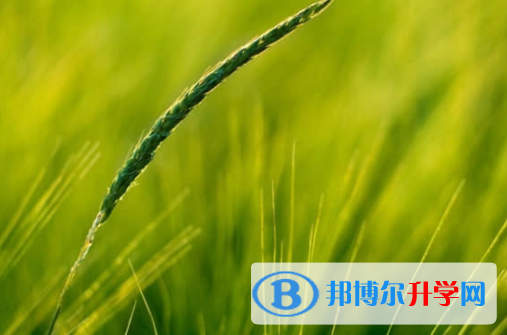 樂山2022年中考預(yù)估重點線