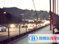 樂(lè)山2022年中考志愿