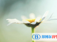 樂(lè)山2022年中考志愿的樣表