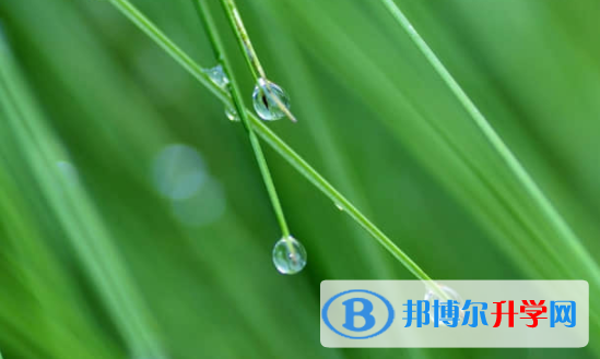樂山2022年中考準考證信息