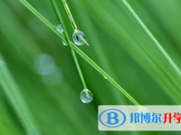 樂山2022年中考準(zhǔn)考證信息