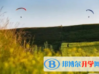 樂山2022年中考沒有被學(xué)校錄取咋辦