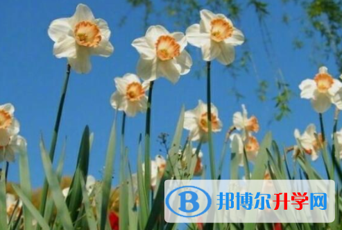 樂山2022年中考的報名號是什么