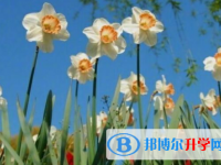 樂山2022年中考的報(bào)名號是什么