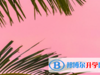 樂山2022年中考200多的哪些學(xué)校要