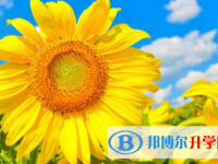 樂山2022年中考372可以讀的學(xué)校