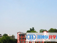 樂山2022年中考453可以讀哪些學(xué)校