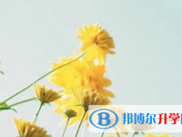 樂山2022年怎樣中考正常發(fā)揮