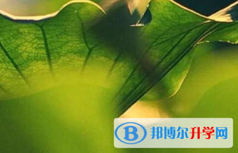 樂山2022年這次中考多久結束