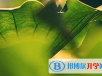 樂山2022年這次中考多久結(jié)束