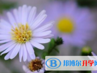 樂山2022年今年中考難嗎