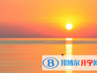 樂山2022年如果中考沒考上讀什么好