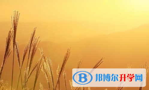 樂(lè)山2022年孩子中考沒(méi)考好如何安慰