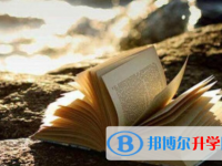樂山2022年中考網絡應用服務平臺登錄