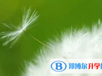樂(lè)山2022年中考填報(bào)志愿后還可以改嗎