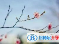 樂(lè)山2022年中考調(diào)劑志愿