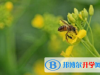 樂(lè)山2022年中考調(diào)劑志愿是什么意思