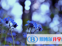 南充2022年未參加中考可以讀啥學校