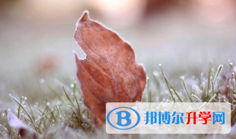 南充2022年中考報名網(wǎng)站是什么