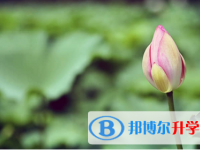 眉山2022年查詢中考成績(jī)的熱線電話