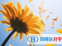 眉山2022年查詢中考成績(jī)