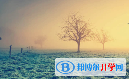 眉山2022年中考成績查詢系