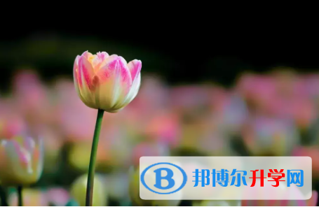 眉山2022年中考成績公布時間