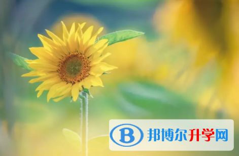 眉山2022年中考成績什么時候出來