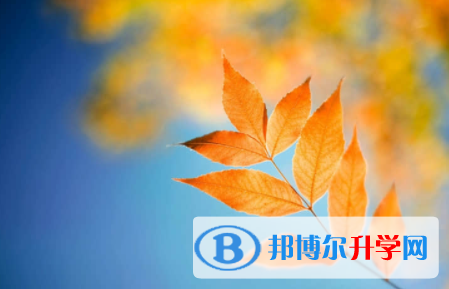 眉山2022年中考看成績是在哪個網站