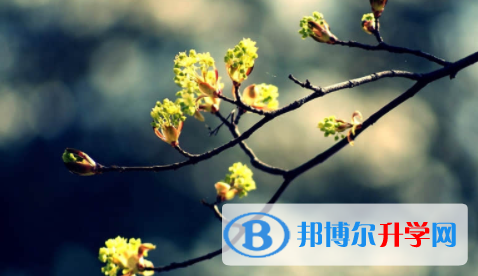 眉山2022年中考填志愿的網站