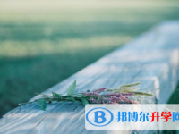 眉山2022年中考招生考試查詢系統