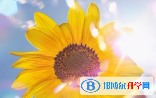 眉山2022年中考招生網(wǎng)絡(luò)應(yīng)用服務(wù)平臺