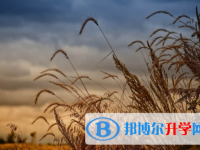 眉山2022年今年初中考試時間